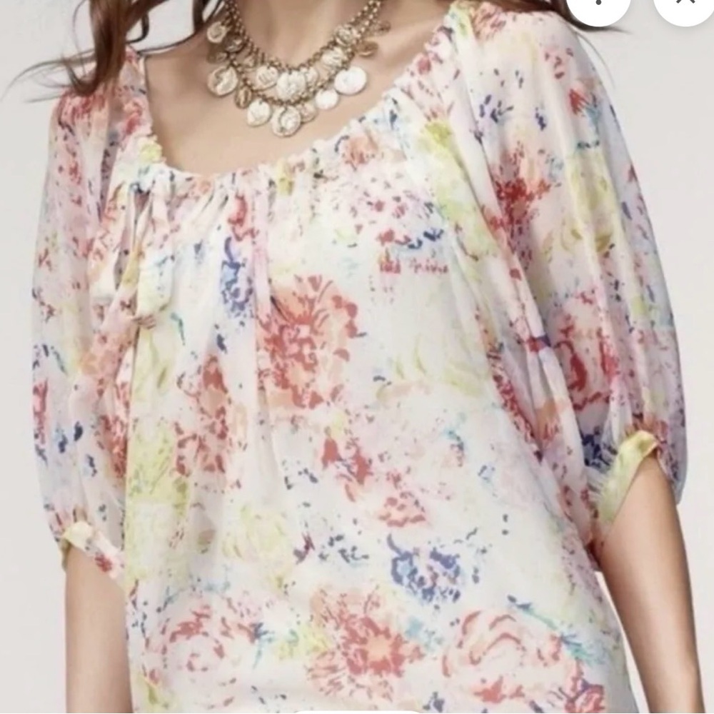 CAbi Style 826 Multicolor Floral Sheer Blouse